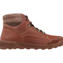 Bottes / Montantes|Casual*Josef Seibel Raymond 02 Braun